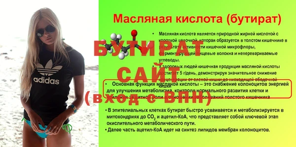 стаф Ельня