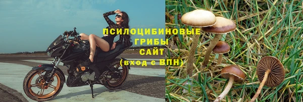 СК Аркадак