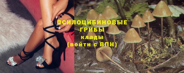 твердый Армянск